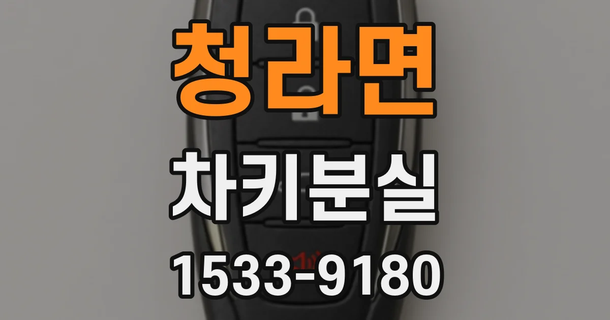 청라면 차키분실