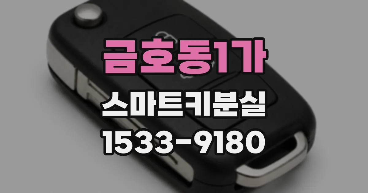 금호동1가 스마트키분실