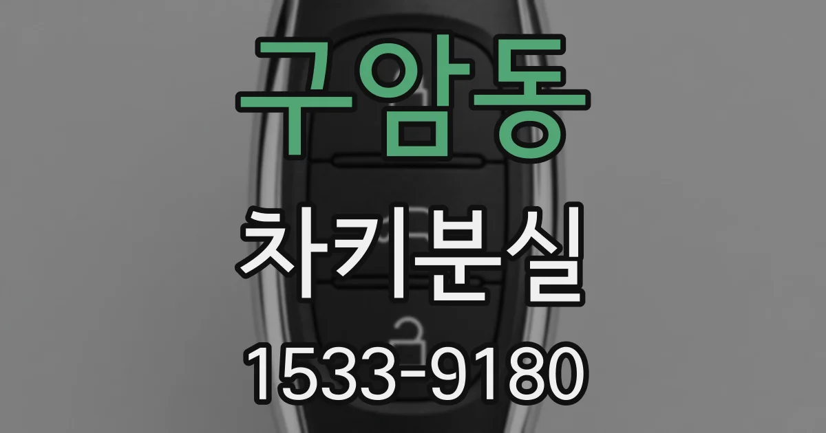 구암동 차키분실