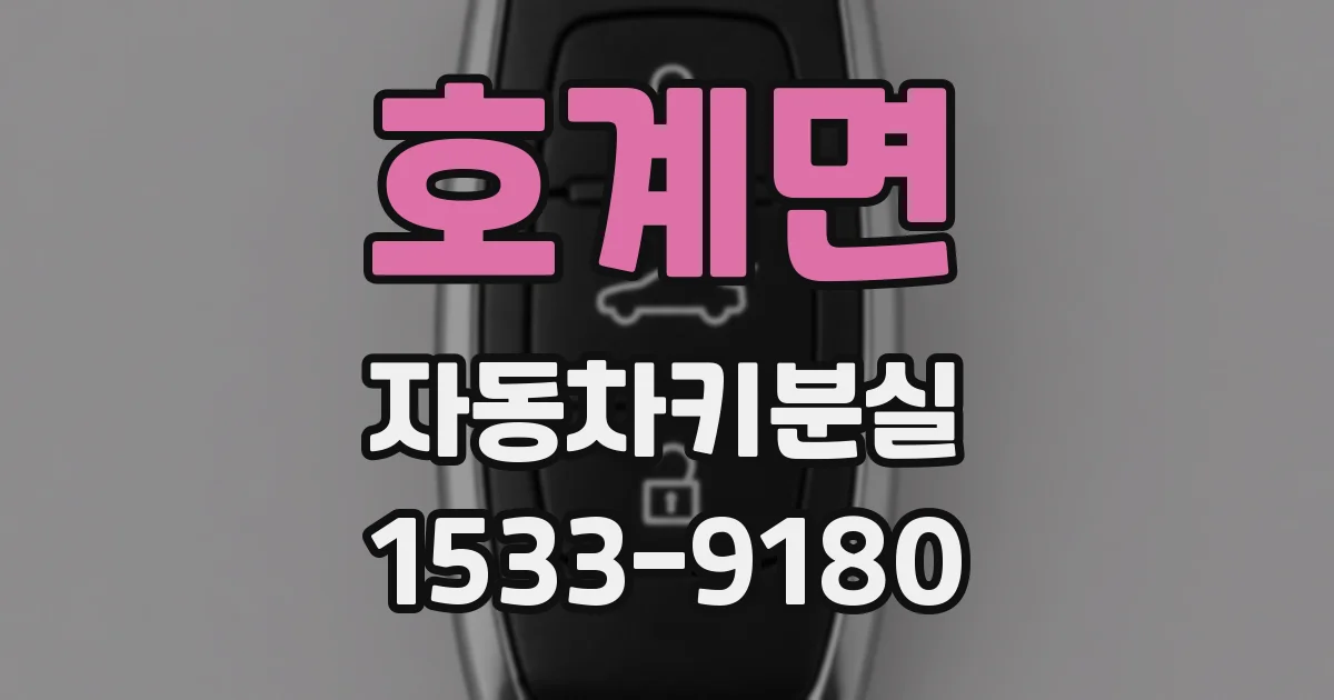 호계면 자동차키분실