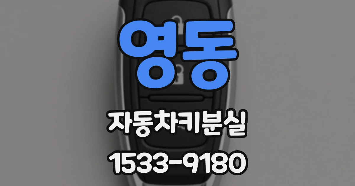 영동 자동차키분실