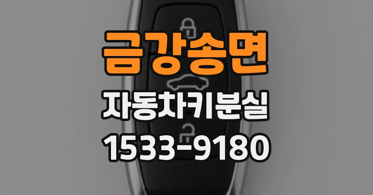 금강송면 자동차키분실