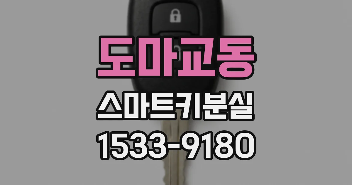도마교동 스마트키분실