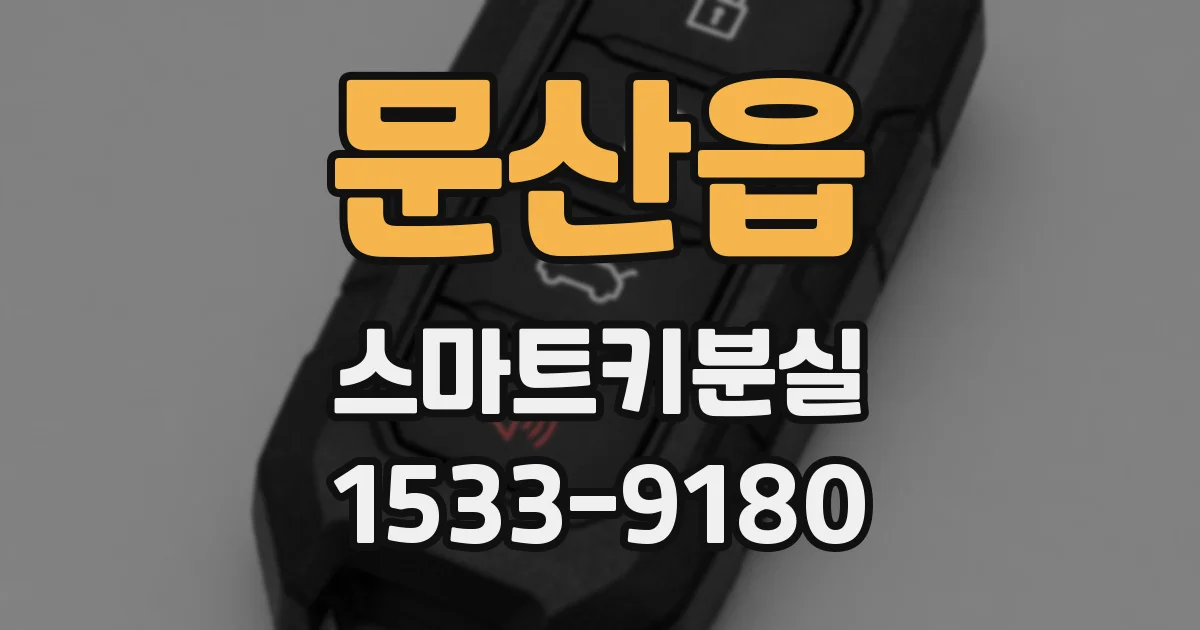 문산읍 스마트키분실
