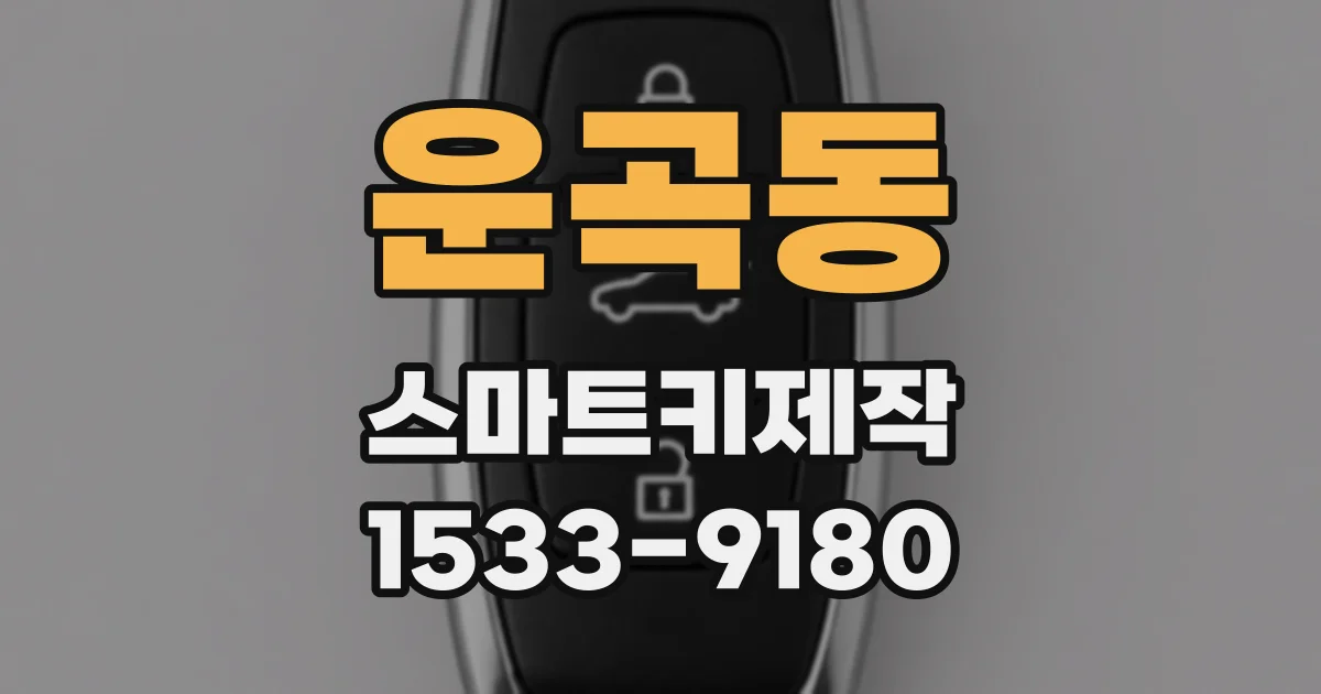 운곡동 스마트키제작
