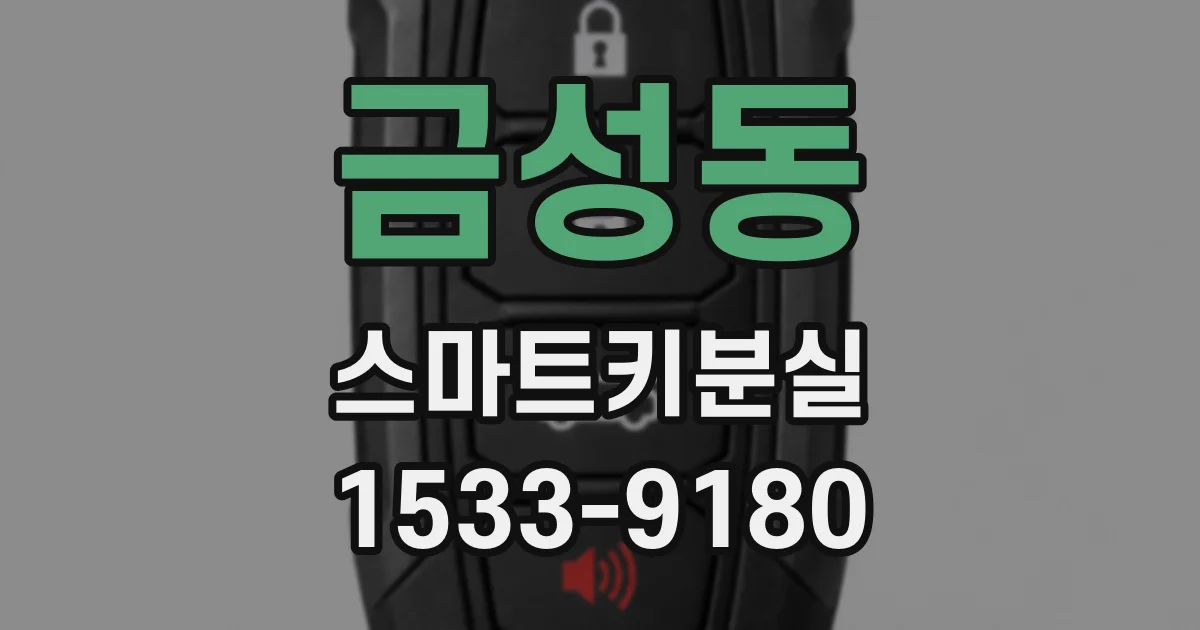 금성동 스마트키분실