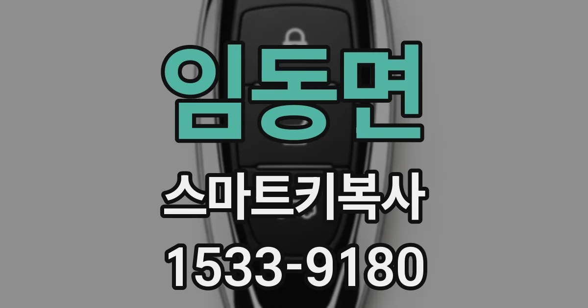 임동면 스마트키복사