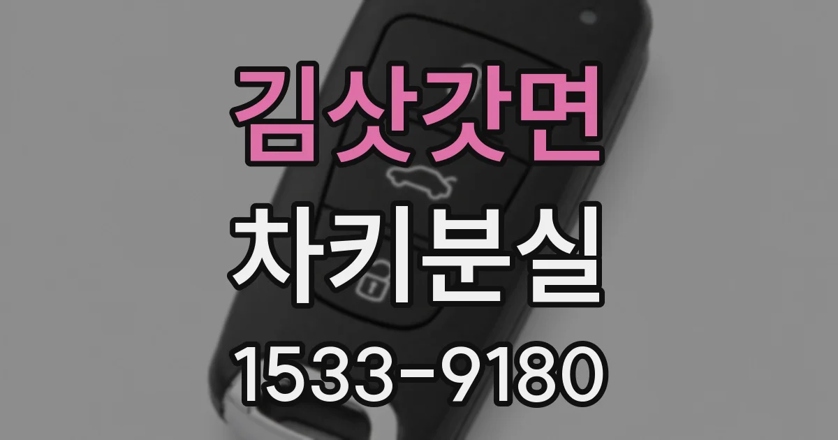 김삿갓면 차키분실