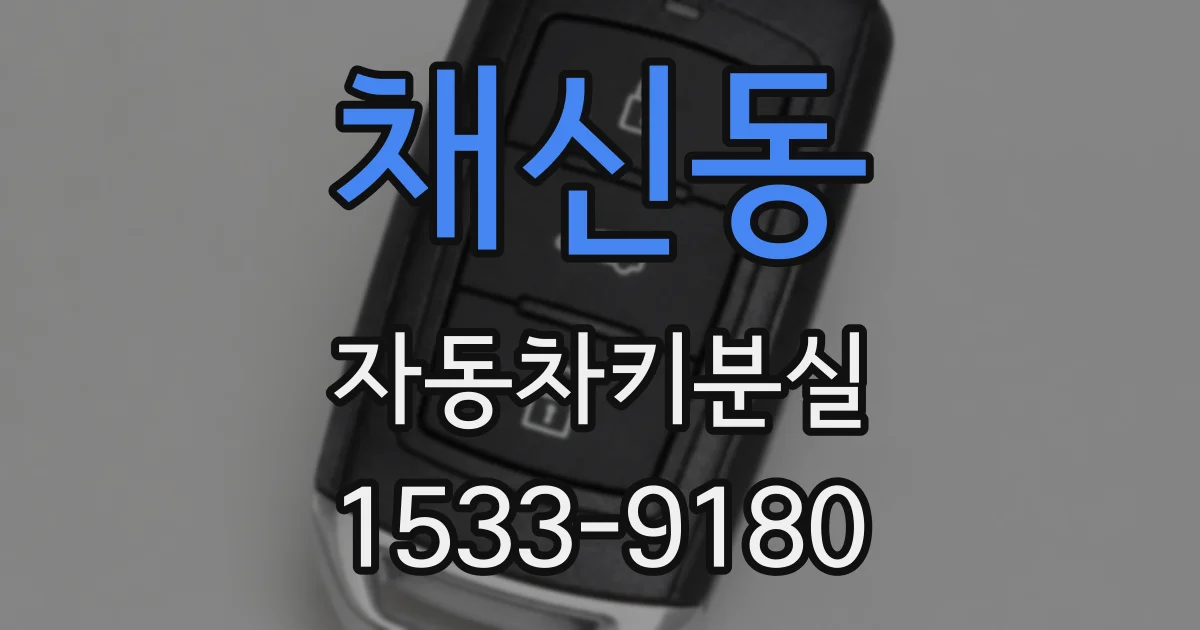 채신동 자동차키분실