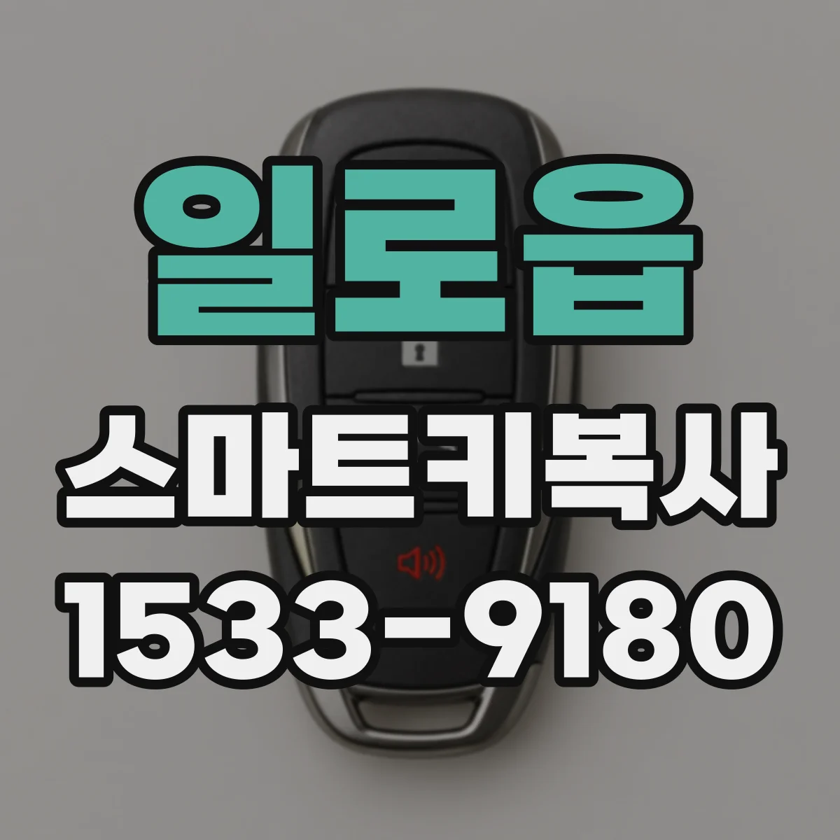 일로읍 스마트키복사