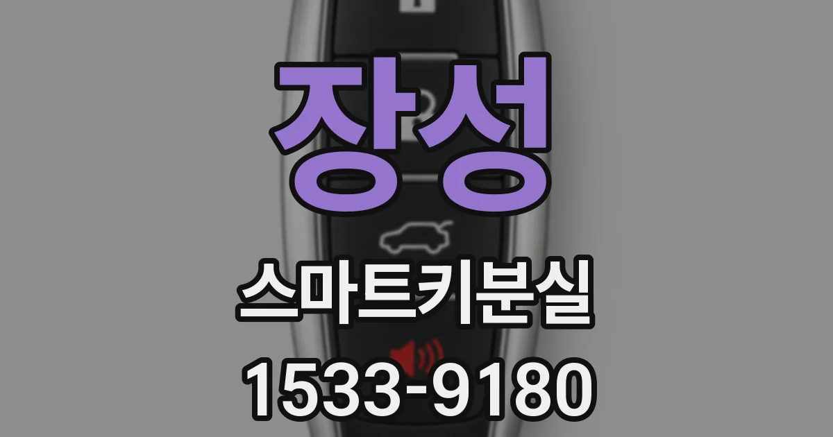 장성 스마트키분실