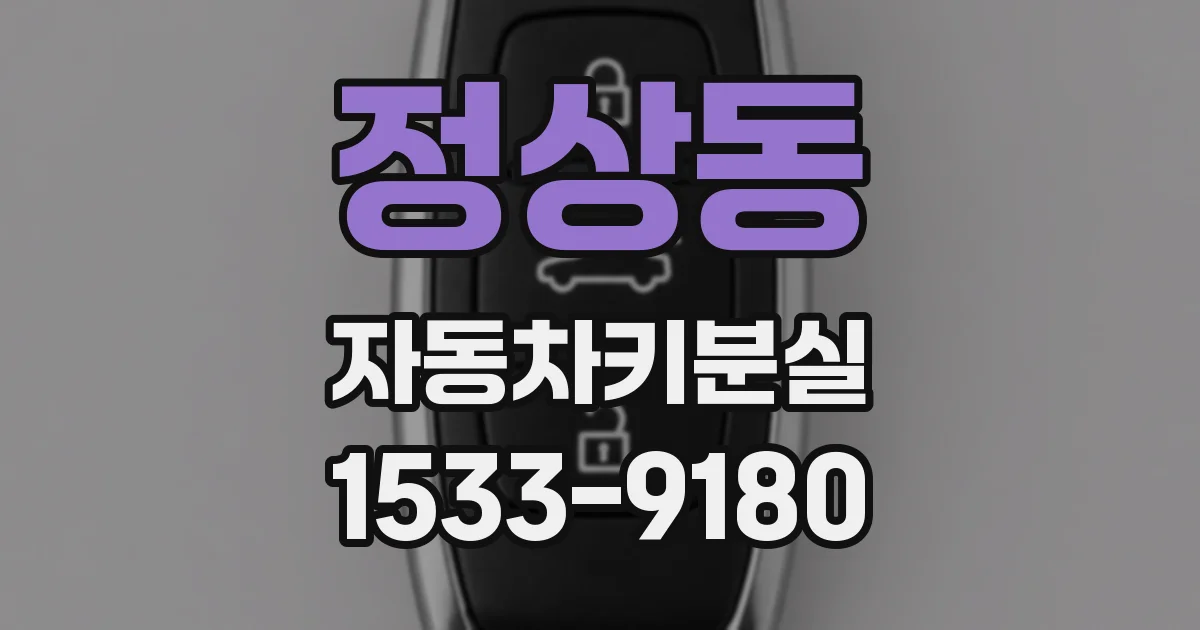 정상동 자동차키분실