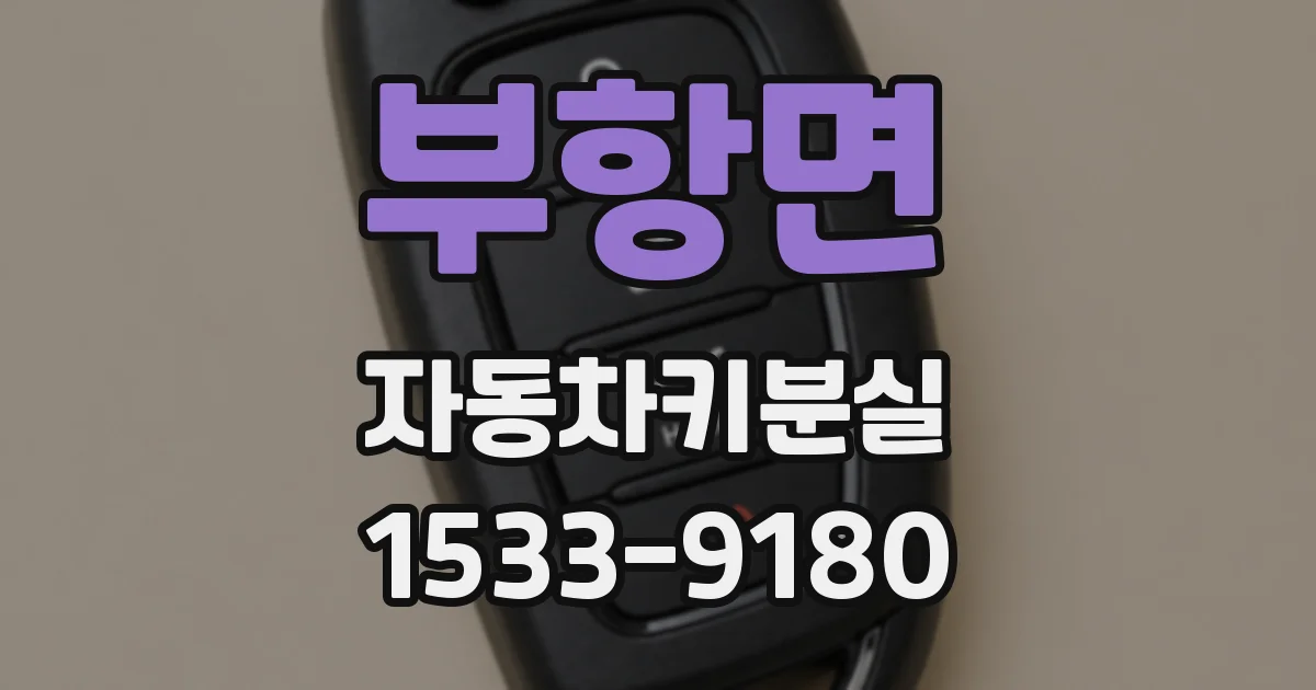 부항면 자동차키분실