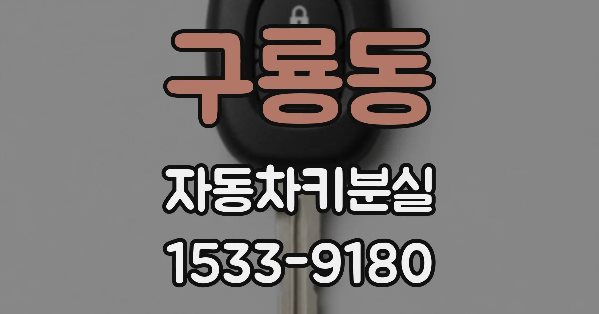 구룡동 자동차키분실