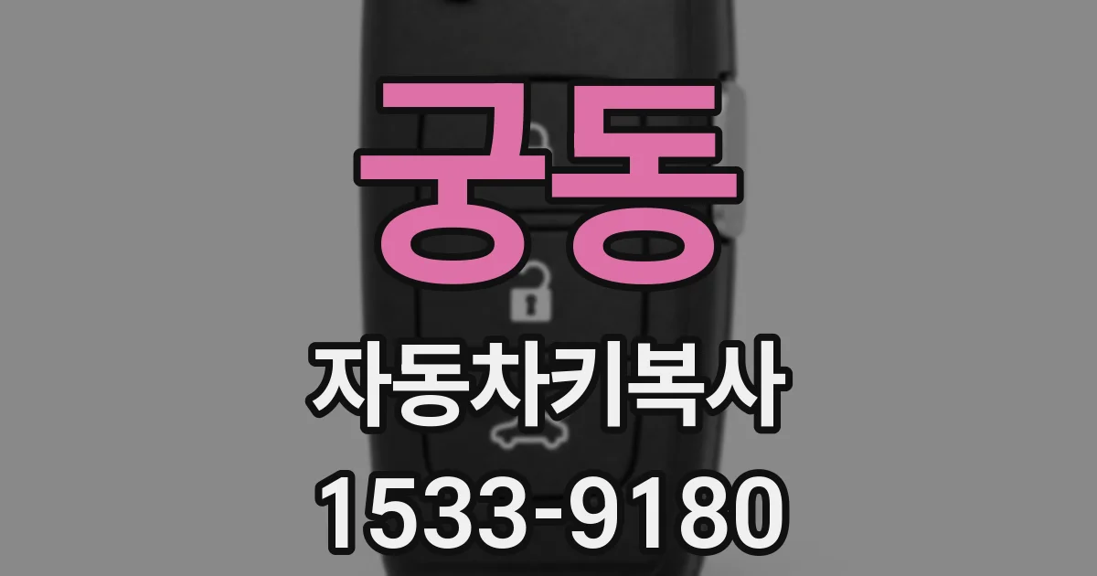 궁동 자동차키복사