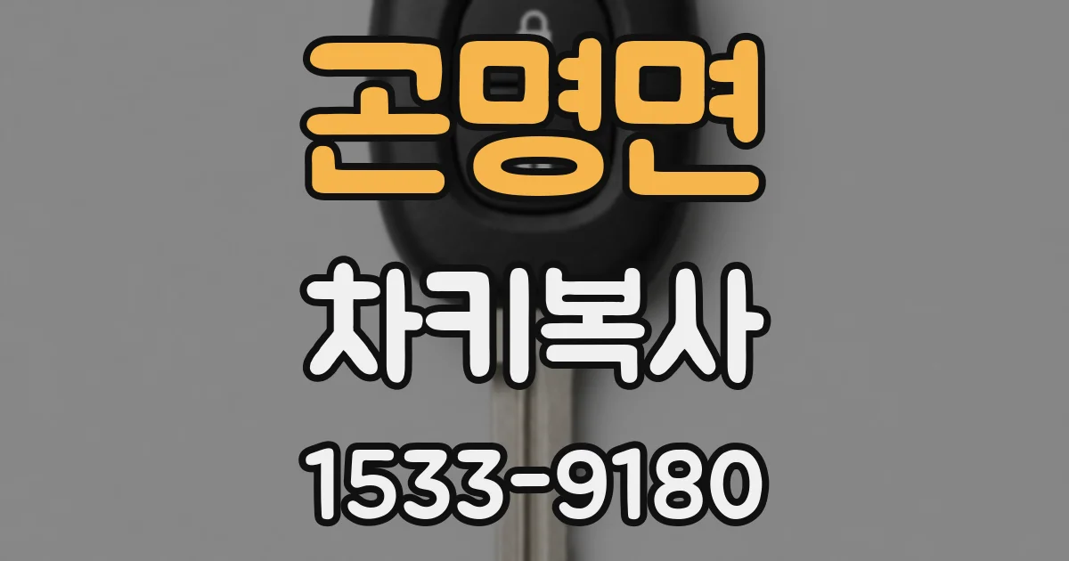 곤명면 차키복사
