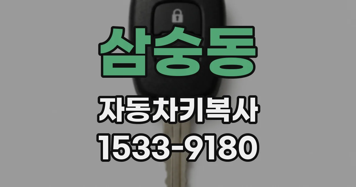 삼숭동 자동차키복사