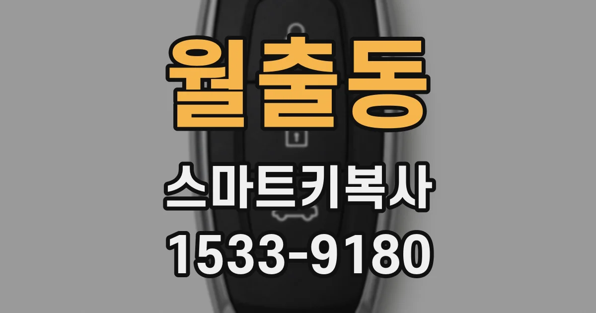 월출동 스마트키복사