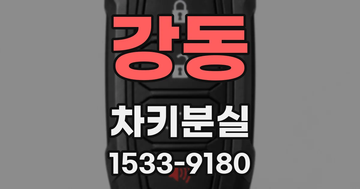 강동 차키분실