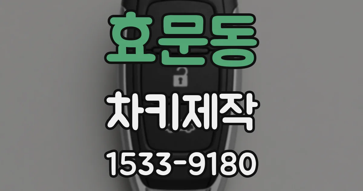 효문동 차키제작