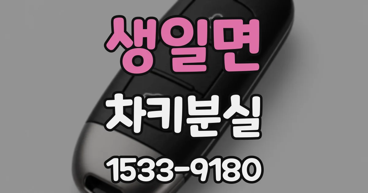 생일면 차키분실