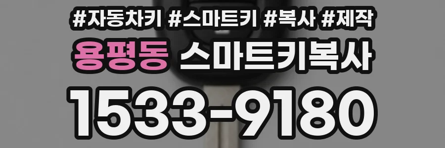 용평동 스마트키복사