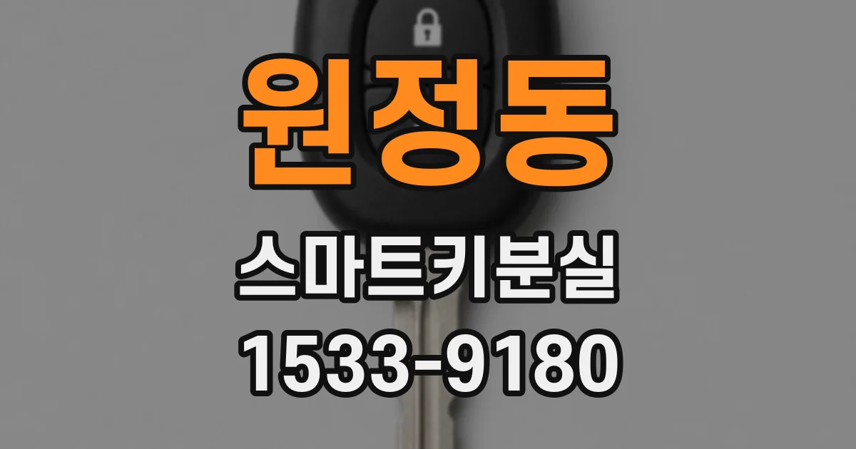 원정동 스마트키분실