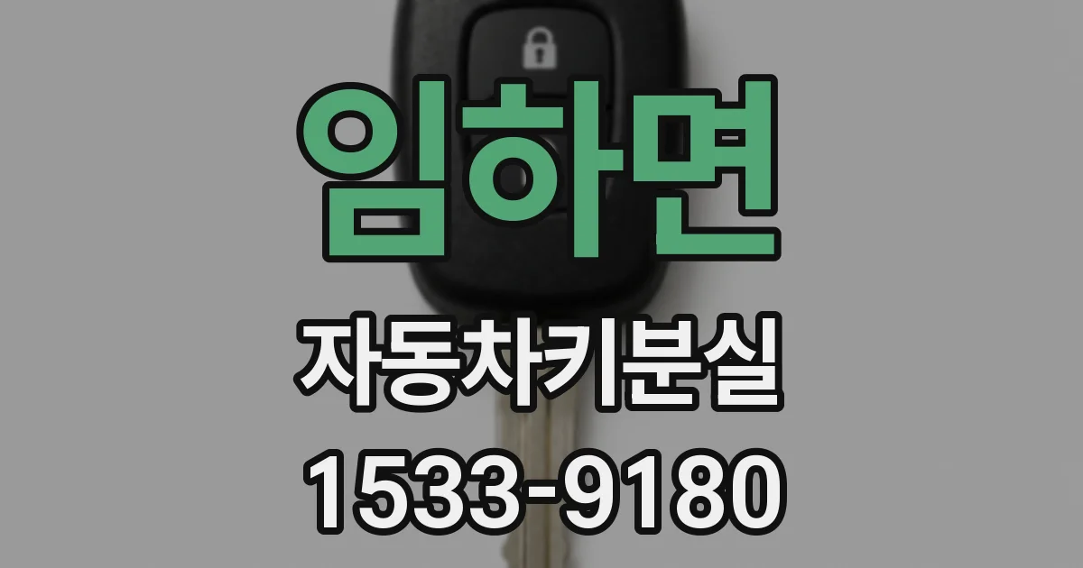 임하면 자동차키분실