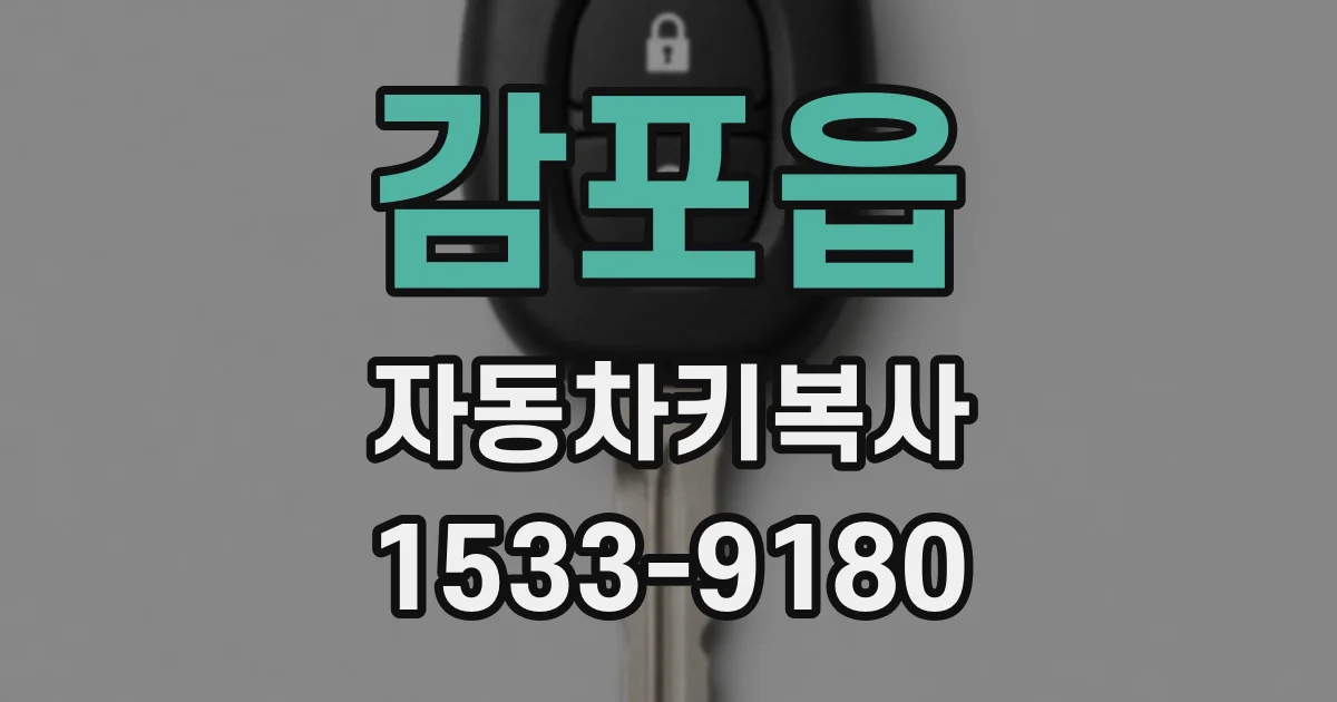 감포읍 자동차키복사