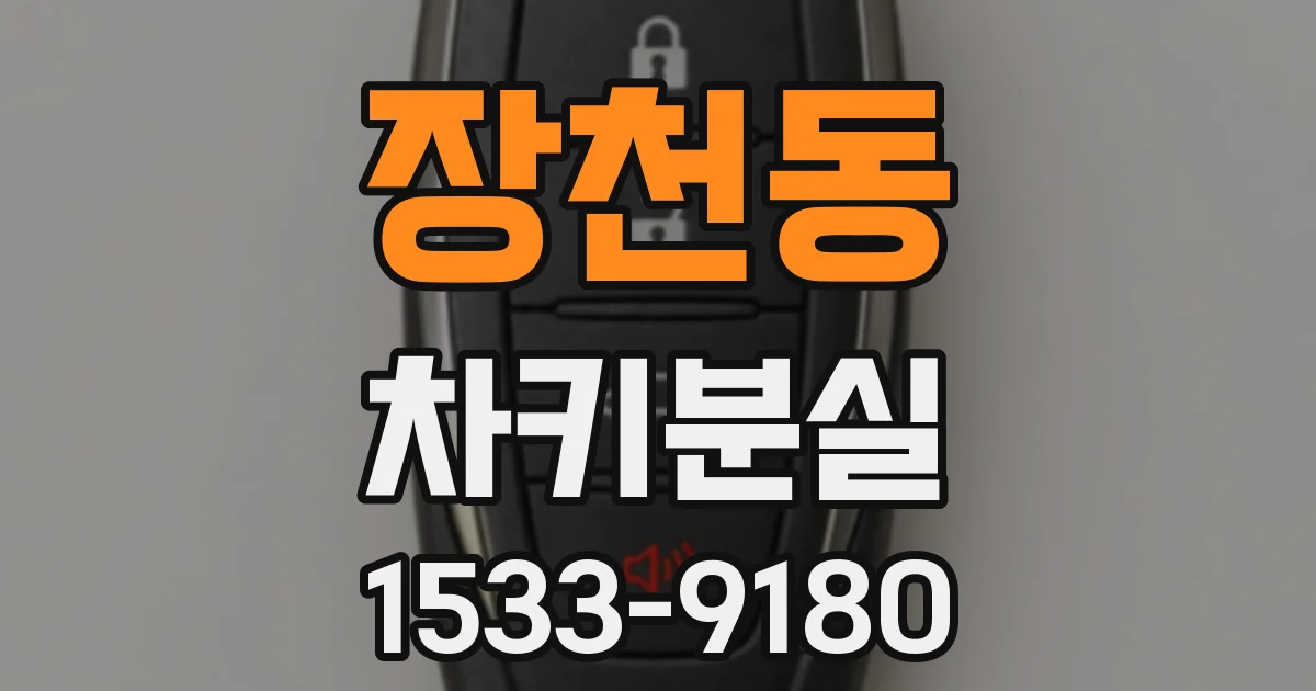 장천동 차키분실