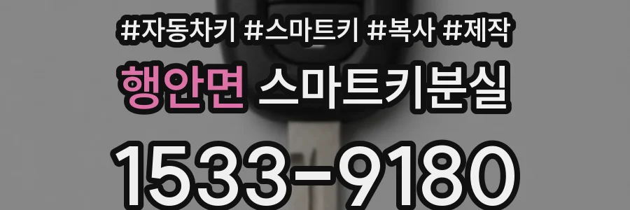 행안면 스마트키분실
