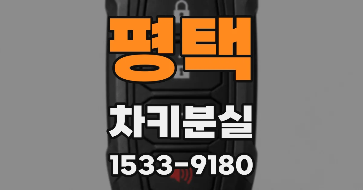 평택 차키분실