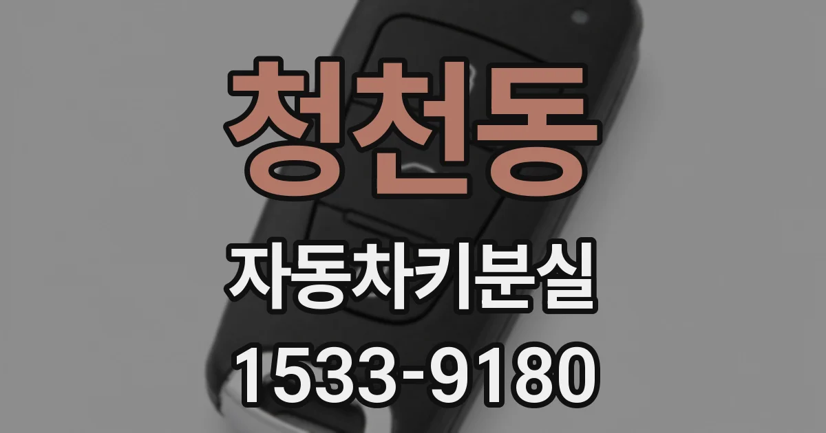 청천동 자동차키분실