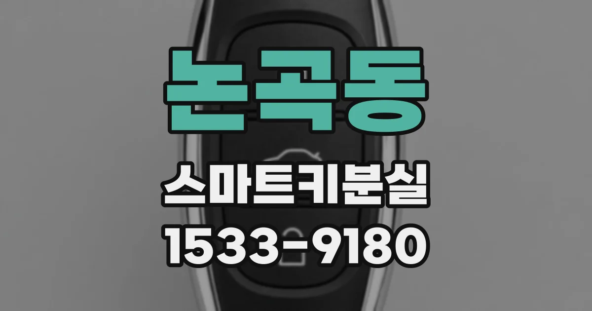논곡동 스마트키분실