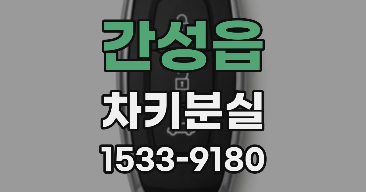간성읍 차키분실
