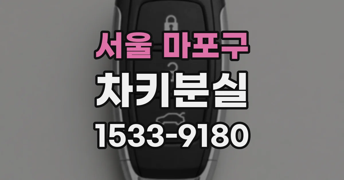 서울 마포구 차키분실