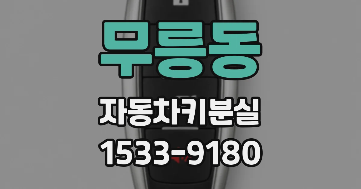 무릉동 자동차키분실