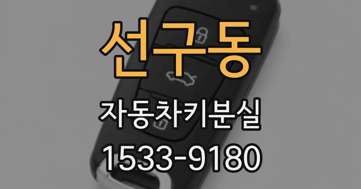 선구동 자동차키분실
