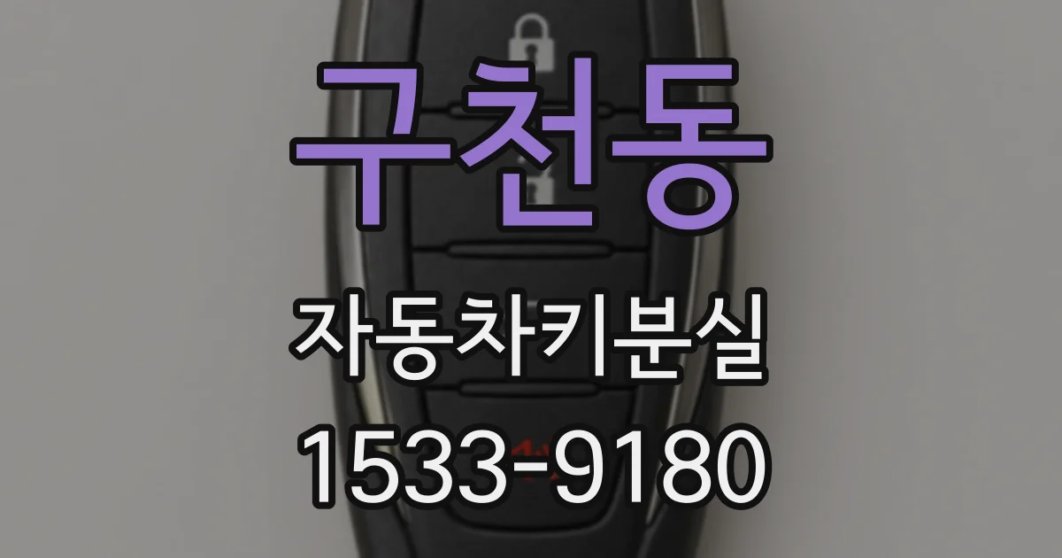 구천동 자동차키분실