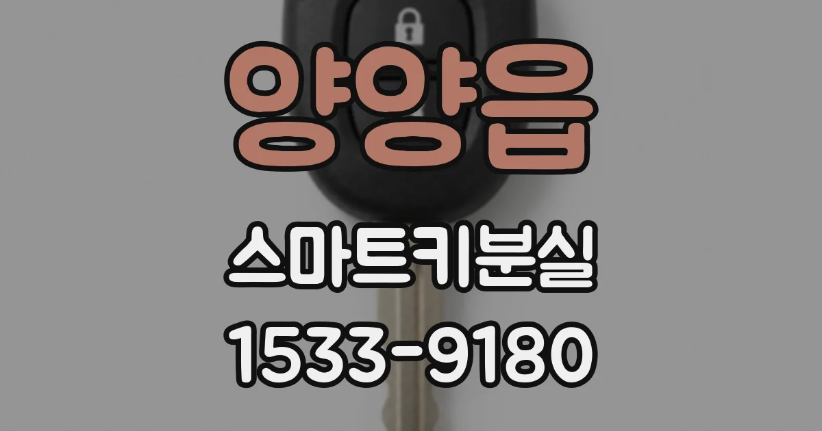 양양읍 스마트키분실