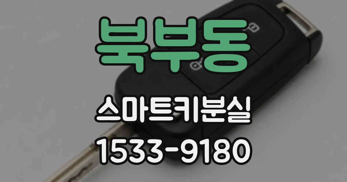북부동 스마트키분실