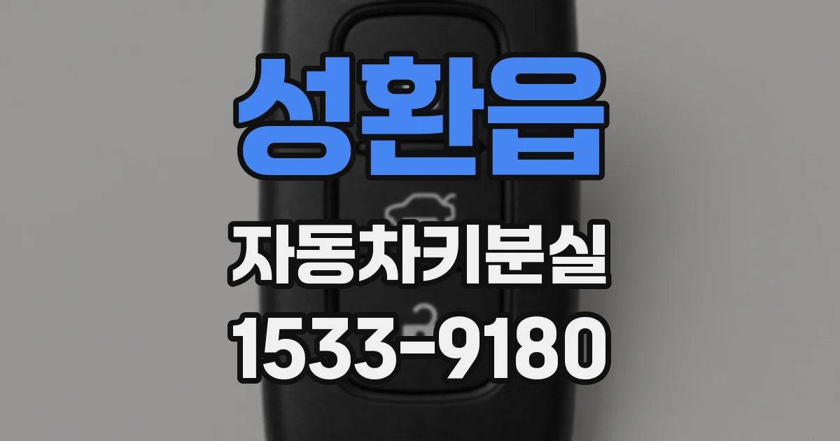 성환읍 자동차키분실