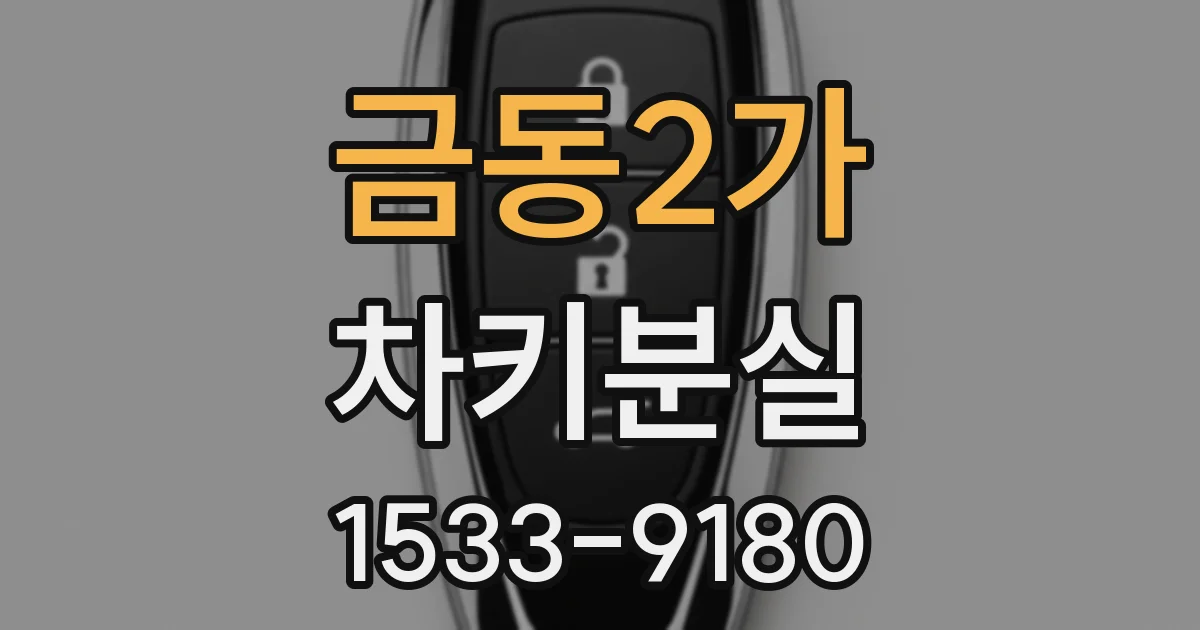 금동2가 차키분실