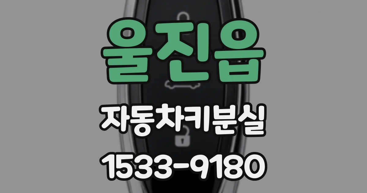 울진읍 자동차키분실