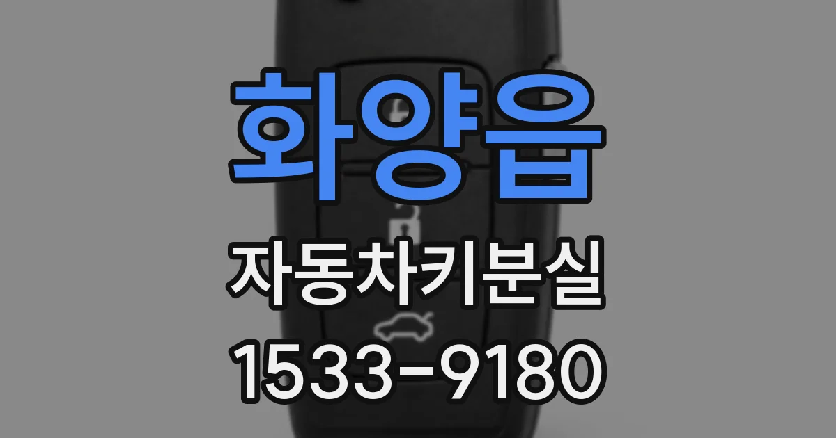 화양읍 자동차키분실