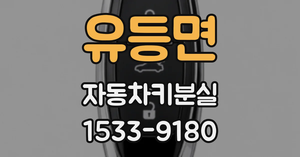 유등면 자동차키분실