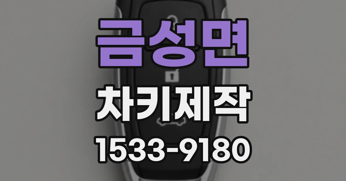 금성면 차키제작