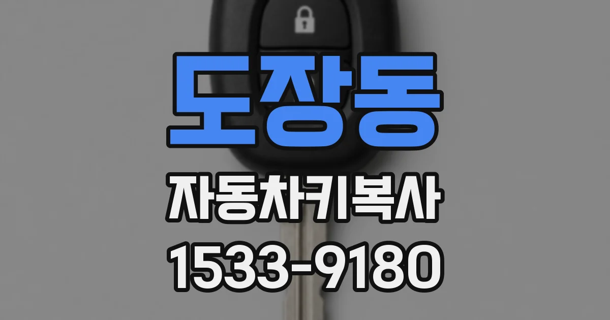 도장동 자동차키복사