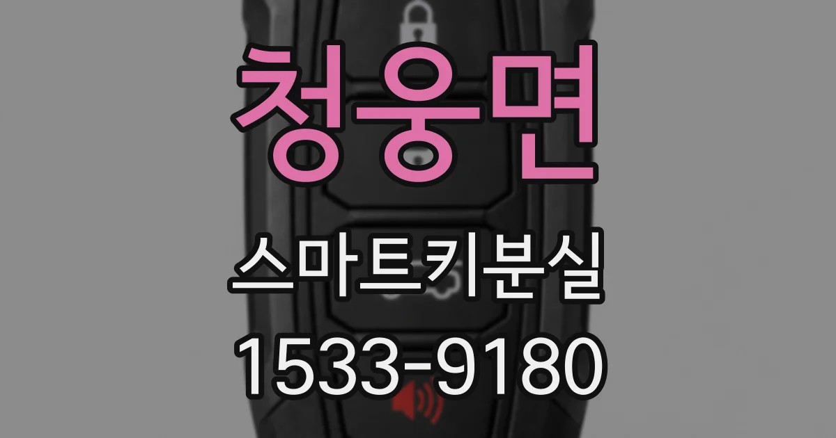 청웅면 스마트키분실