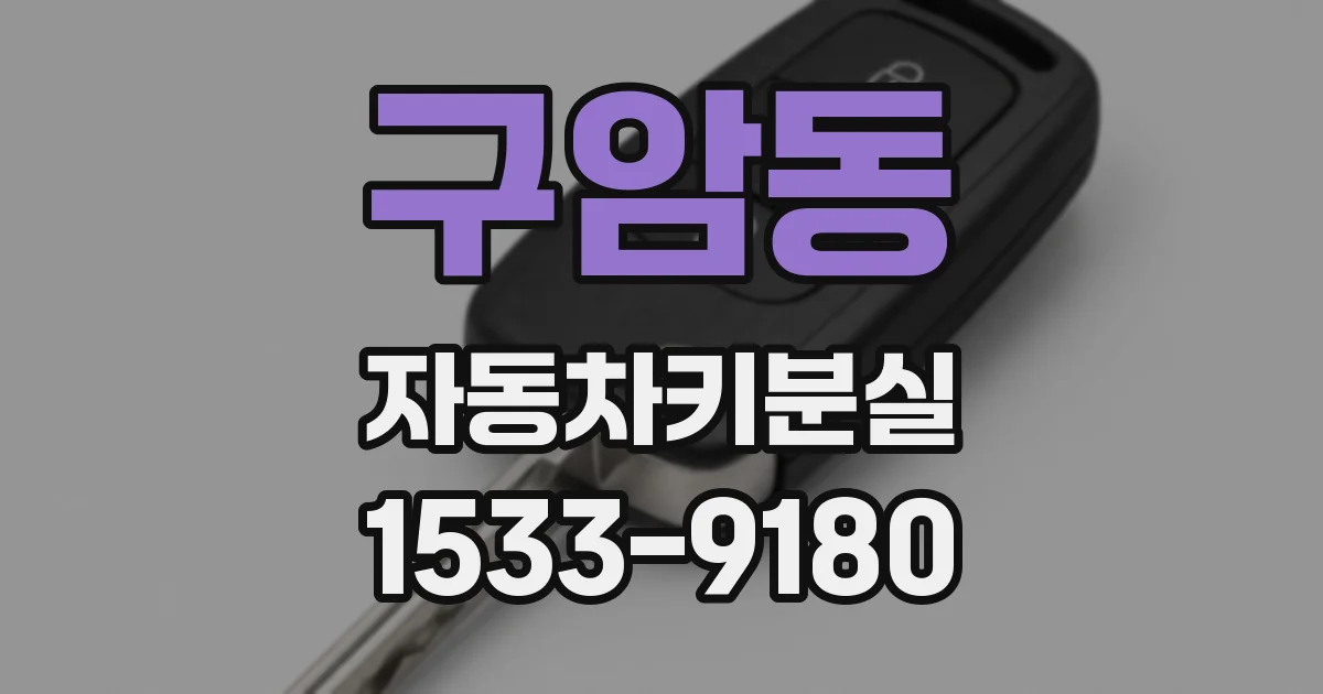 구암동 자동차키분실